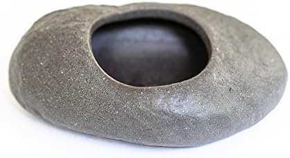 3 Pack Gray Ceramic Stone Holder with Assorted Air Plants - Live Tillandsia Succulent House Plant - Wholesale and Bulk - Home and Garden Decor - Easy Care Indoor and Outdoor Plant - Image 4