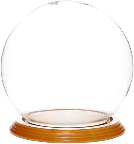 Plymor 6" x 7" Glass Display Dome Globe Cloche (Oak Veneer Base), Pack of 8 by Plymor