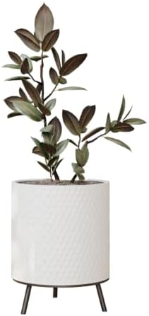 EverNest Claire Honeycomb Neutral Modern White Planter with Nyra Stand, Indoor Plant Pots, SelectBase, Mid-Century Modern, Boho Style Home Decor for Plants (Large, Black) by EverNest
