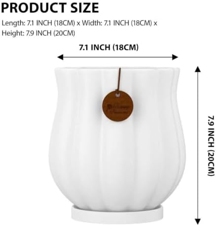 7.1" Matte White Ceramic Plant Pot with Saucer - Image 2