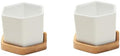 White Ceramic Hexagonal Succulent Pots, with Bamboo Tray 2 Sets by FONDOTIN