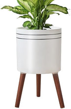 12 Inch Plant Pot with Stand，Planter for Indoor Plant，Flower Pot with Drainage Hole for Outdoor,White and Black by nacltlo