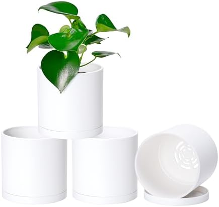 D'vine Dev 4-Pack White Plastic Planters with Saucers, 5 in, 74-Z-G-2 by DvineDevPlanterPotsandStand