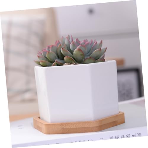 White Ceramic Hexagonal Succulent Pots, with Bamboo Tray 2 Sets - Image 4