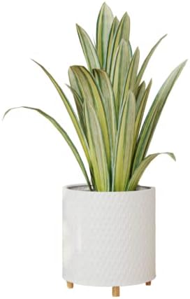 EverNest Claire Modern Indoor Plant Pot with Stand, White Pattern, 12 Inch, SelectBase, Neutral Mid-Century Modern Style, Metal Home Decor Planter (Large, 3 Gallon) by EverNest