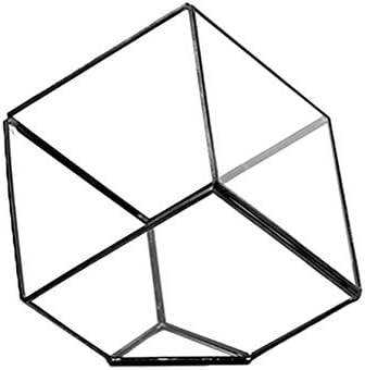 WGV Geometric Planter Terrarium, Width 11.5" Height 12" Clear Glass Black Frame DIY Succulent air Plant Miniature Fairy Garden Windowsill Tabletop Decor, Tilted Cube 1 Piece by WGVInternational-OpusGlassware