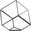 WGV Geometric Planter Terrarium, Width 11.5" Height 12" Clear Glass Black Frame DIY Succulent air Plant Miniature Fairy Garden Windowsill Tabletop Decor, Tilted Cube 1 Piece by WGVInternational-OpusGlassware