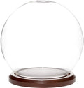 Plymor 6 inch x 7 inch Glass Display Dome Globe Cloche (Dark Wood Base), Pack of 4 by Plymor