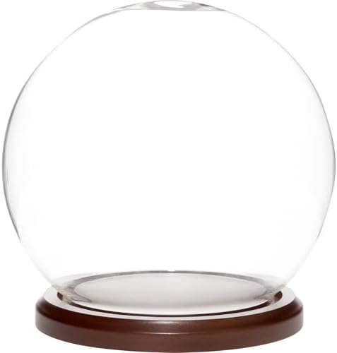 Plymor 6 inch x 7 inch Glass Display Dome Globe Cloche (Dark Wood Base), Pack of 4 by Plymor
