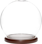 Plymor 6 inch x 7 inch Glass Display Dome Globe Cloche (Dark Wood Base) by Plymor