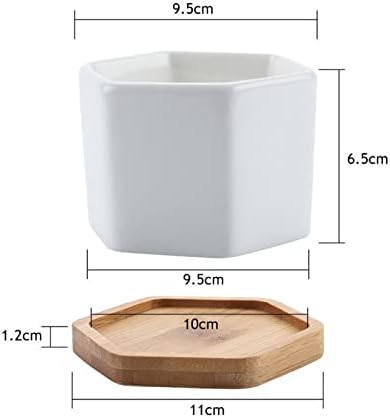 HASMI Plant pots Set of 2 Hexagon Ceramic Flower Pot for Cactus Succulent Plants Tray Planter Home Garden Decoration (2 pots + 2 Trays) Flower Pots - Image 2