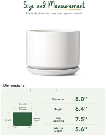 LE TAUCI 8 Inch Plant Pot, Ceramic Pots for Plants, White - Image 3