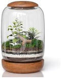 Glass Terrarium, Wood Lid and Base, 8.7" x 6.3" by Unknown