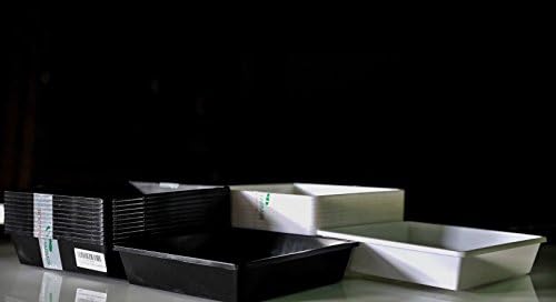 Bootstrap Farmer 1010 Trays White 20 Pack Extra Strength No Holes Seed Starting Microgreens - Image 4