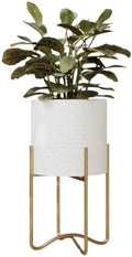 EverNest Claire Mid-Century Modern White Plant Pot with Ambrose Stand, SelectBase, Indoor Planter, Bohemian Style, Minimalist Plant Home Décor (Medium, Gold) by EverNest