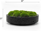 NAHARO New Moss Bowl,8''Handmade Cement Bowl–Artificial Moss Centerpiece for Home Decoration, Living Room, Office, or Coffee Table Display - Image 7