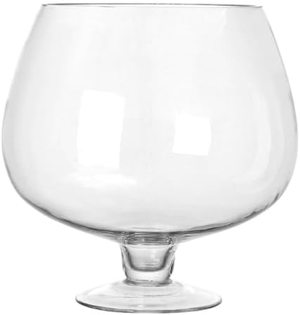 POPETPOP Bowl Glass Vase Clear Bubble Bowl Goblet Shaped Plant Terrarium Goldfish Bowl for Home Office Tabletop Decor, 21.00X21.00X21.00CM, Transparent by POPETPOP