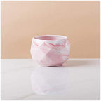 Flower Pot Ceramic Flower Planter Pots with Drain Hole Marble Pattern Modern Succulents Containers for Home Decor Indoor Flower Plant Pots Gardening Containers，Roze-C by Unknown