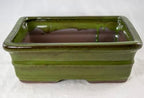 Rectangular Moss Green Bonsai, Cactus, Succulent Pot 10x 8x 3.25 Tray Mesh - Image 2