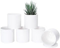 D'vine Dev 6-Pack White Plastic Planters with Saucers, 4.5 in, 74-Z-F-3 by DvineDevPlanterPotsandStand