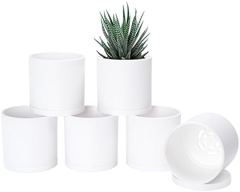 D'vine Dev 6-Pack White Plastic Planters with Saucers, 4.5 in, 74-Z-F-3 by DvineDevPlanterPotsandStand