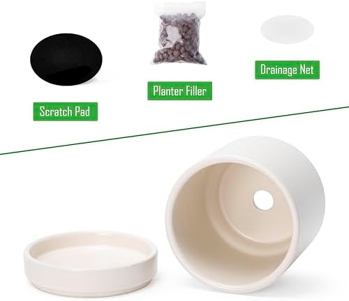D'vine Dev 4-Pack Ceramic Pots with Saucers, Oatmeal, 4.7 in, 94-X-B-8 - Image 4