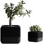 Modern Black Square Planter Pots with Geometric Lattice Design, Set of 2, Indoor Succulent and Bonsai Planters by Unknown