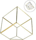 WGV Geometric Planter Terrarium, Width 11.5" Height 12" Clear Glass Gold Frame DIY Succulent air Plant Miniature Fairy Garden Windowsill Tabletop Decor, Tilted Cube 1 Piece by WGVInternational-OpusGlassware