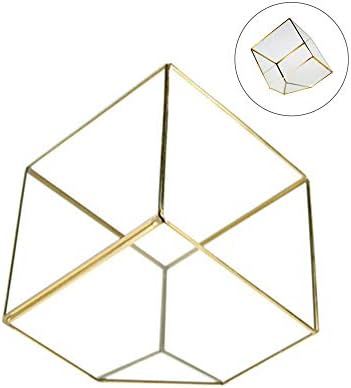 WGV Geometric Planter Terrarium, Width 11.5" Height 12" Clear Glass Gold Frame DIY Succulent air Plant Miniature Fairy Garden Windowsill Tabletop Decor, Tilted Cube 1 Piece by WGVInternational-OpusGlassware