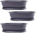 CZ Grain 14 Inch Oval Bonsai Pots & Drip Tray - Heavy Duty Display (3 Pots) by CZGrain