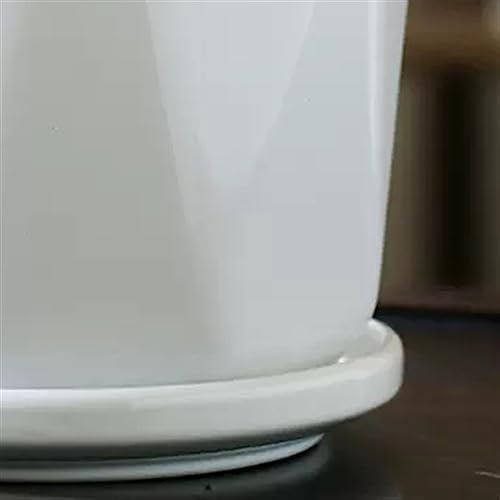 Plants Flower Pots Plant Pots Ceramic Pure White Simple Flower Pots Four-piece Set of Medium-Sized Planters with Tray Home Succulent Plants Green Plant Cultivation Gardening Pot - Image 4