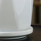Plants Flower Pots Plant Pots Ceramic Pure White Simple Flower Pots Four-piece Set of Medium-Sized Planters with Tray Home Succulent Plants Green Plant Cultivation Gardening Pot - Image 4