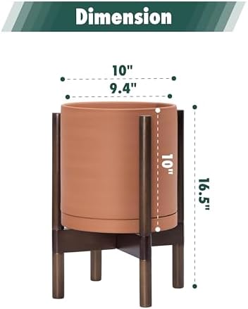 D'vine Dev Terracotta Pot with Walnut Wood Stand, 10 in, 55-B-X-5 - Image 3