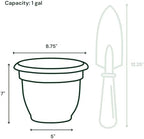 Bloem Ariana 8" Plastic Self-Watering Planter, Peppercorn, 4-Pack - Image 3
