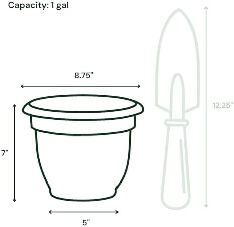 Bloem Ariana 8" Plastic Self-Watering Planter, Peppercorn, 4-Pack - Image 3
