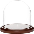 Plymor 5.5 inch x 5.5 inch Glass Display Dome Cloche (Dark Wood Base) by Plymor