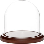 Plymor 5.5 inch x 5.5 inch Glass Display Dome Cloche (Dark Wood Base) by Plymor