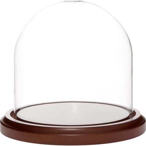 Plymor 5.5 inch x 5.5 inch Glass Display Dome Cloche (Dark Wood Base) by Plymor