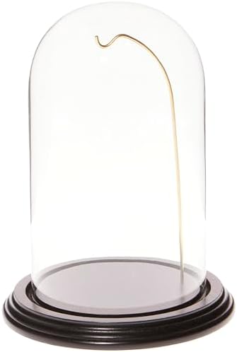 Plymor 4.5" x 8" Watch/Ornament Glass Display Dome Cloche (Black Wood Veneer Base & Gold Wire) by Plymor