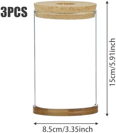 3Pcs Plant Propagation Station, Transparent Lidded Propagation Stations with Tray Hydroponic DIY Jars for Home Office Desktop, Straight - Image 4