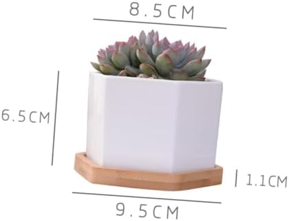 White Ceramic Hexagonal Succulent Pots, with Bamboo Tray 2 Sets - Image 2