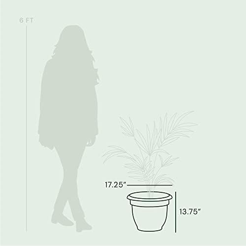 Bloem Ariana Self Watering Planter: 16" - Chocolate - Durable Resin Pot, for Indoor and Outdoor Use, Self Watering Disk Included, Gardening, 6 Gallon Capacity - Image 5