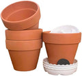 6-Inch Terracotta Pots, Set of 4 with Drainage Hole & Saucer, Breathable and Well-Drained for Indoor Outdoor Plants, Ideal for Garden Decor by Unknown