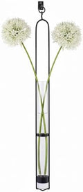 Couronne Company M046-001 Florence Hanger & Wall Hook, 31", Clear, 1 Piece by CouronneCo
