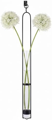 Couronne Company M046-001 Florence Hanger & Wall Hook, 31", Clear, 1 Piece by CouronneCo