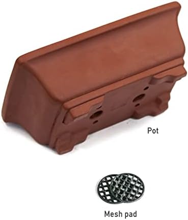 Dahlia 6" L x 4" W Rectangular Zisha Bonsai Planter/Succulent Pot/Flower Pot, Brown - Image 6