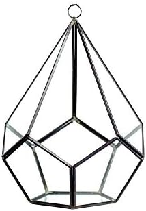 WGV Hanging Geometric Planter Terrarium Width 6.5" Height 8.75" Clear Glass Black Frame DIY Succulent air Plant Miniature Fairy Garden Windowsill Decor Teardrop 1 Piece by WGVInternational-OpusGlassware