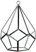 WGV Hanging Geometric Planter Terrarium Width 6.5" Height 8.75" Clear Glass Black Frame DIY Succulent air Plant Miniature Fairy Garden Windowsill Decor Teardrop 1 Piece by WGVInternational-OpusGlassware