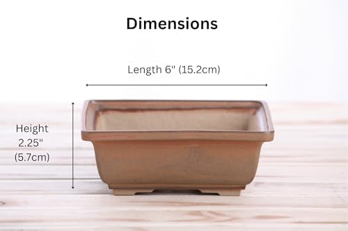Willow Bonsai Ceramics Square Bonsai Pot 6 Inch – Low‑Profile Square Ceramic Bonsai & Succulent Pot with Accentuated Rim, High‑Fired Frost‑Proof Stoneware, Handmade in USA (Deep Stone, 6inch) - Image 4