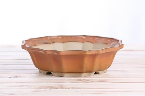 Willow Bonsai Ceramics Flower Design Bonsai Pot 10 Inch – Elegant Ceramic Bonsai & Succulent Pot, High‑Fired Frost‑Proof Stoneware with Drainage+Wiring Holes, Handmade USA (Deep Stone, 10inch) - Image 3